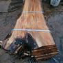 hardwood Image 5