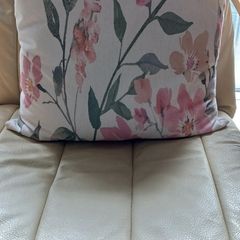 Cushion