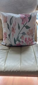 Cushion