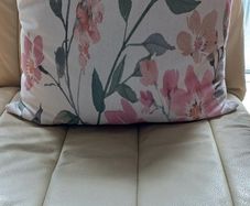 Cushion