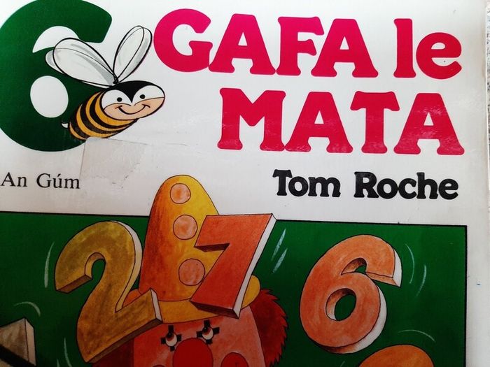 Vintage Gafa le mata 6 Fallons Roche Fallons 1999