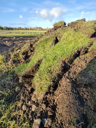 Grass covered soil