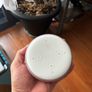 Amazon Echo Dot Rose Color 3rd Gen. Smart Speakers Image 2