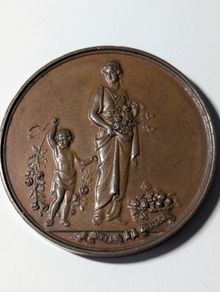 Historic Irish Medal