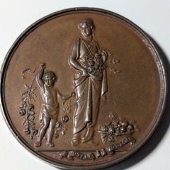Historic Irish Medal