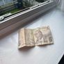 5 Turkish Lira Image 2