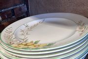 Burgess bros plates and jug