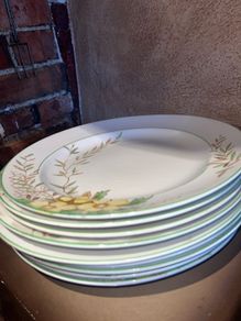Burgess bros plates and jug