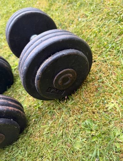 17.5kg Dumbbells x2