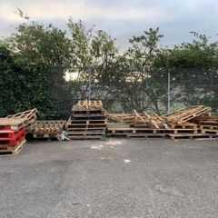 Free Pallets Collection Only