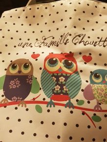 Cute owl bag
