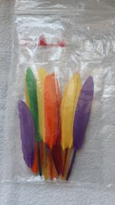 20 Multicoloured Feathers