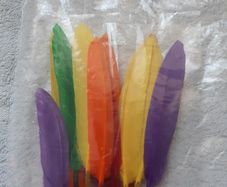 20 Multicoloured Feathers