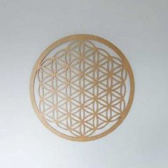 The Flower of Life
