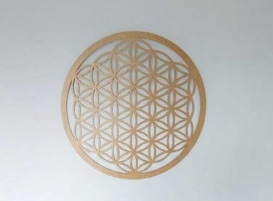 The Flower of Life