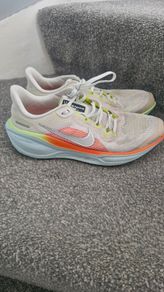 Nike Pegasus 41