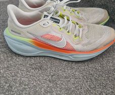 Nike Pegasus 41