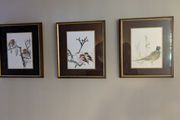 Set of 3 framed bird prints - wildlife art