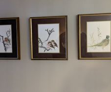 Set of 3 framed bird prints - wildlife art