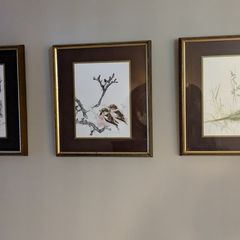 Set of 3 framed bird prints - wildlife art