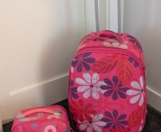 Pink Floral Suitcase Set with Vanity Case Bargain