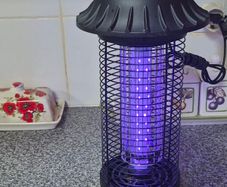 Bug Zapper