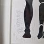 Anna Nielsen - Signed Limited Edition Print Image 2