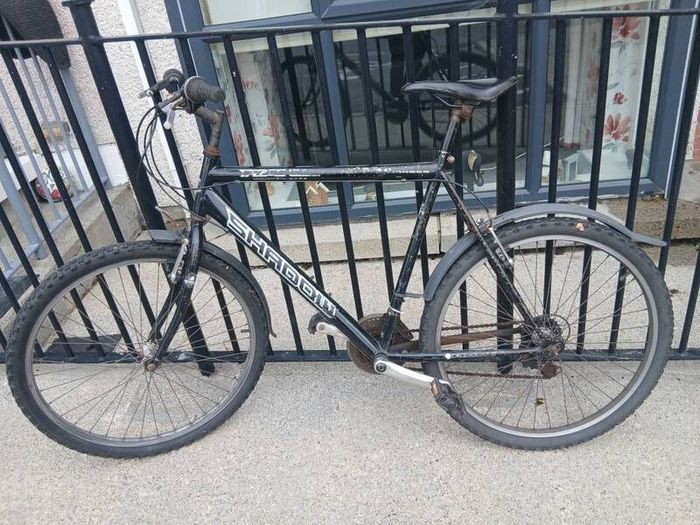Adults Bike
