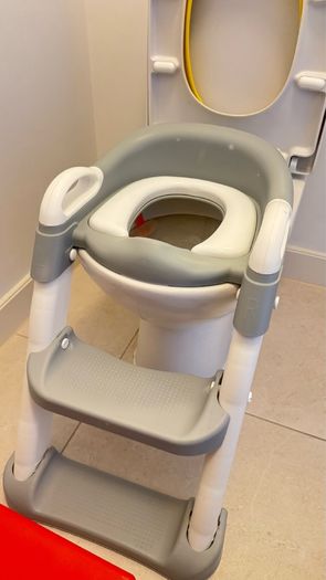 Kids toilet ladder