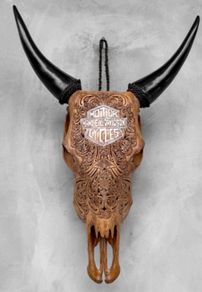 Harley skull