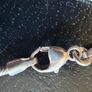 sterling silver necklace Image 3