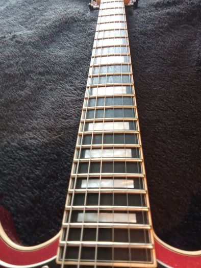 D'Angelico premier Brighton