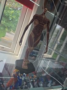 Pop Up Parade Attack on Titan Colossal Titan Armin Figure