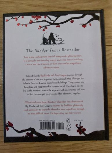 Brand new book Big panda and tiny dragon - James Norbury