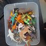 Bulk of animals Image 7