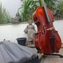 Beautiful Roderich Paesold model 601 3/4 Cello made in Germany in 1978 Image 2