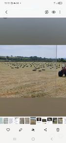 Square bales of hay