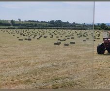 Square bales of hay