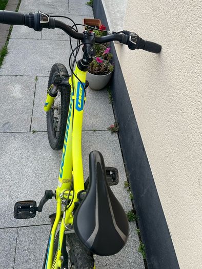 Kids Bike (20 inch)