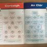 16th March 2013. GAA (Gaelic Football & Hurling) Programme. Cork V Donegal & Cork V Calire @ Pairc Ui Rinn Image 3