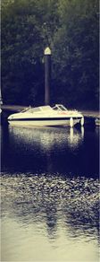 Campion A16 | Bowrider | Evinrude E-TEC 90HP | Trailer Included