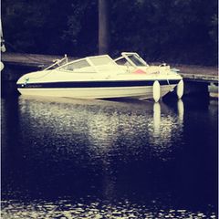 Campion A16 | Bowrider | Evinrude E-TEC 90HP | Trailer Included