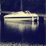 Campion A16 | Bowrider | Evinrude E-TEC 90HP | Trailer Included Image 2