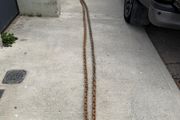 16mm galvanized mooring riser chain