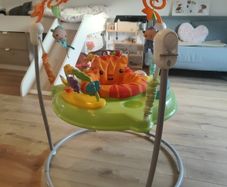 Fisher price Jumperoo