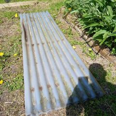 Perspex sheets