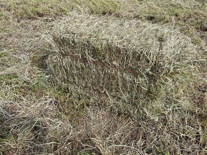 Square bales of hay North Galway