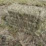 Square bales of hay North Galway Image 4