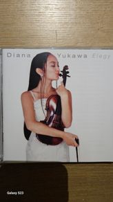 Diana Yukawa. Elegy.