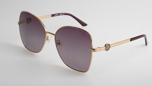 Polarised Sunglasses